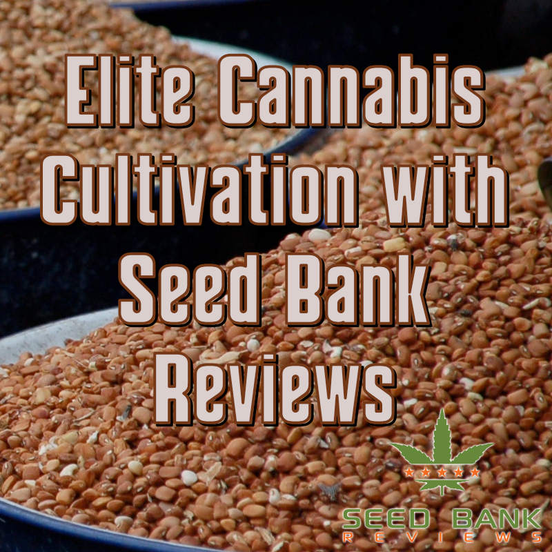 Elite Cannabis Cultivation with Seed Bank Reviews